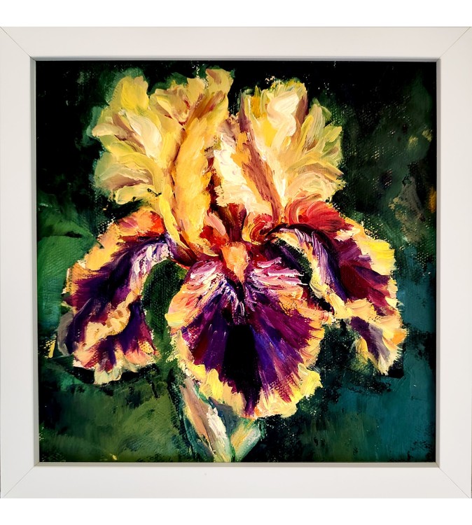 F21908 Fiery Iris