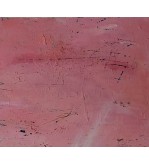 3355 Pink Twilight