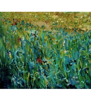3351 Field of Flowers in Summer
