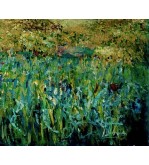 3351 Field of Flowers in Summer