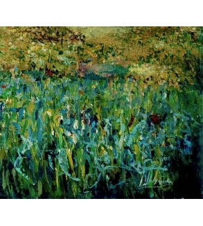 3351 Field of Flowers in Summer