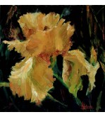3339 Golden Iris by Iryna Malynovska