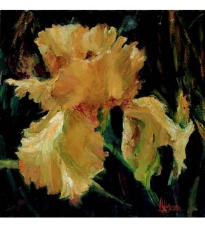 3339 Iris Doré iryna malynovska