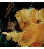 3339 Iris Doré iryna malynovska
