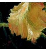 3339 Iris Doré iryna malynovska