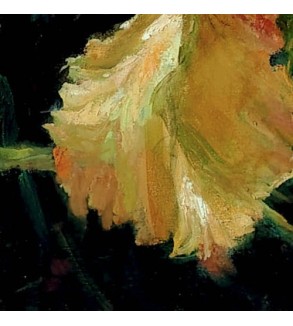 3339 Iris Doré iryna malynovska