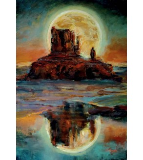 6028 Monument Valley under the Full Moon