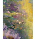 Rayons de Lumière sur les Nénuphars iryna malynovska