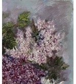 Lilac Radiance malynovska