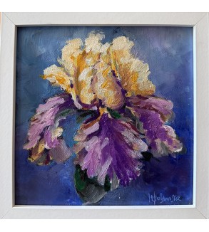 Iris de Feu malynovska