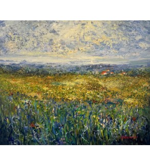 3351 Field of Flowers in Summer