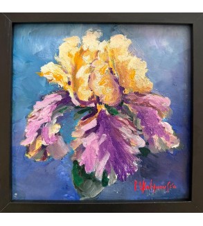 F21908 Iris de Feu