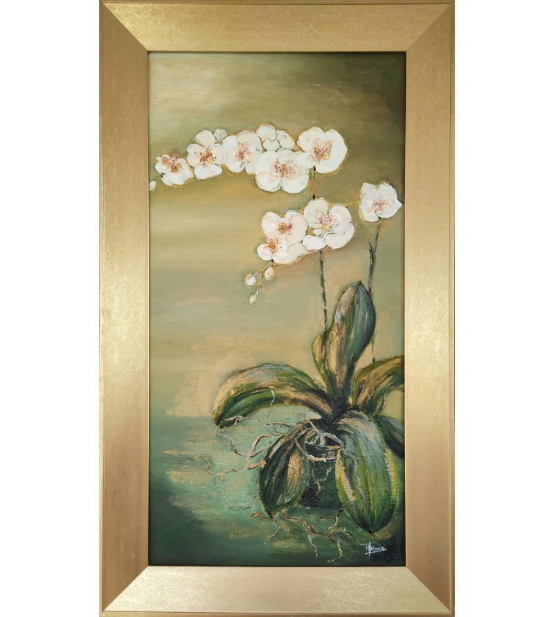 7062 Orchidée blanche en vase — Iryna Malynovska